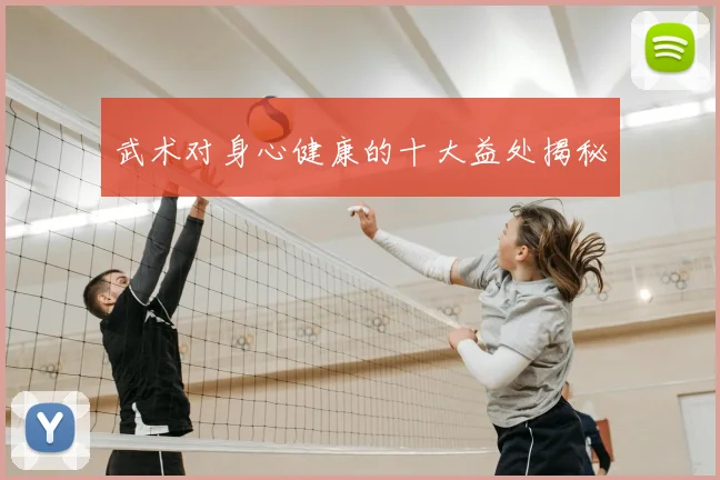 武术对身心健康的十大益处揭秘